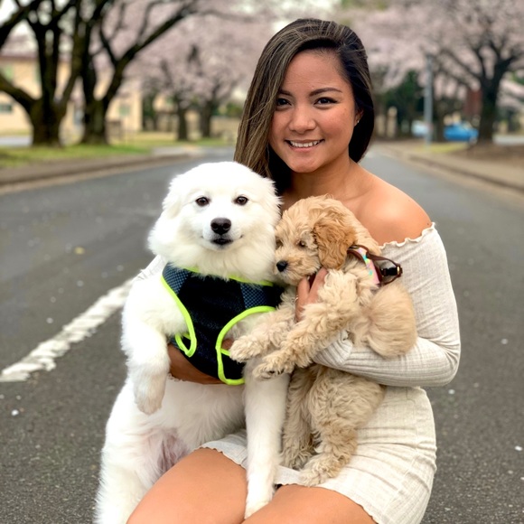 Meet your Posher, Shayne - Picture 1 of 1